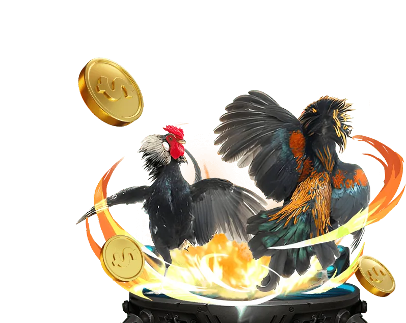 Người chơi đang trải nghiệm đa dạng các trò chơi tại 97win casino